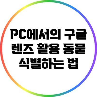 PC에서의 구글 렌즈 활용: 동물 식별하는 법