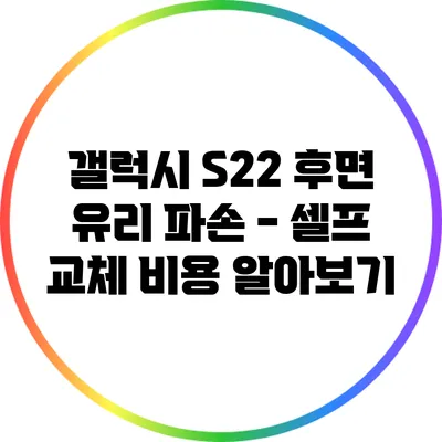 갤럭시 S22 후면 유리 파손 - 셀프 교체 비용 알아보기