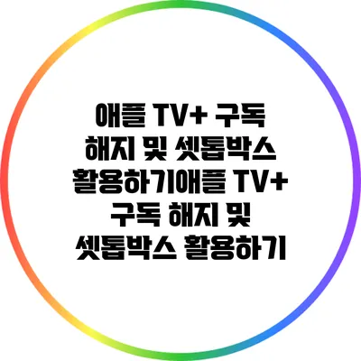 애플 TV+ 구독 해지 및 셋톱박스 활용하기애플 TV+ 구독 해지 및 셋톱박스 활용하기