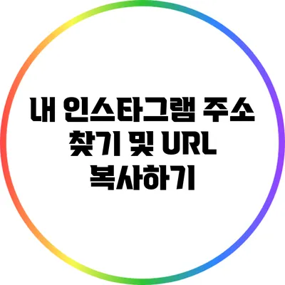 내 인스타그램 주소 찾기 및 URL 복사하기