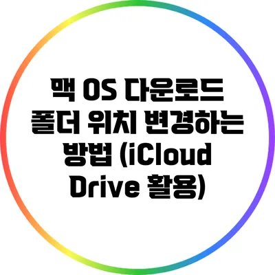 맥 OS 다운로드 폴더 위치 변경하는 방법 (iCloud Drive 활용)