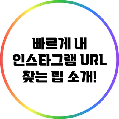 빠르게 내 인스타그램 URL 찾는 팁 소개!