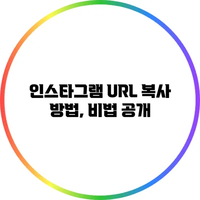 인스타그램 URL 복사 방법, 비법 공개