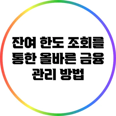 잔여 한도 조회를 통한 올바른 금융 관리 방법