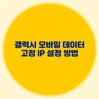 갤럭시 모바일 데이터 고정 IP 설정 방법
