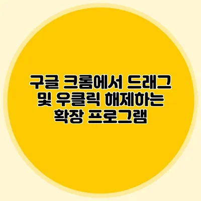 구글 크롬에서 드래그 및 우클릭 해제하는 확장 프로그램
