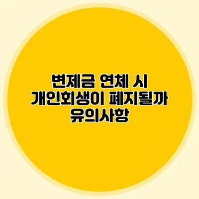 변제금 연체 시 개인회생이 폐지될까? 유의사항