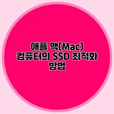애플 맥(Mac) 컴퓨터의 SSD 최적화 방법
