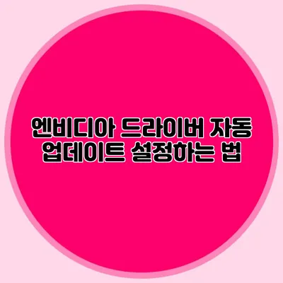 엔비디아 드라이버 자동 업데이트 설정하는 법