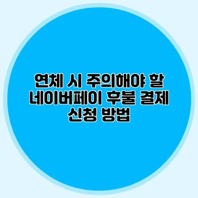 연체 시 주의해야 할 네이버페이 후불 결제 신청 방법