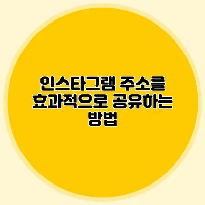 인스타그램 주소를 효과적으로 공유하는 방법