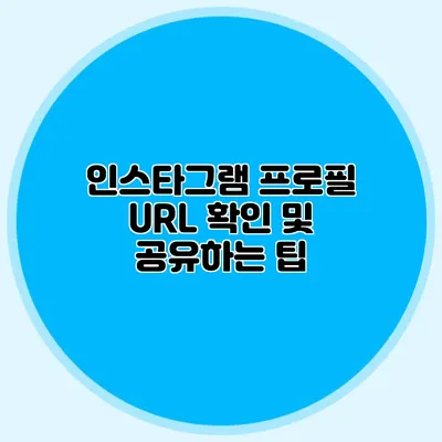 인스타그램 프로필 URL 확인 및 공유하는 팁