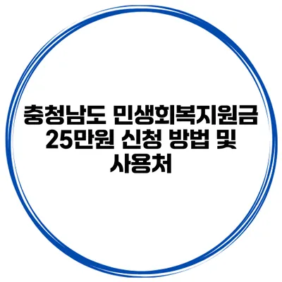 충청남도 민생회복지원금 25만원 신청 방법 및 사용처