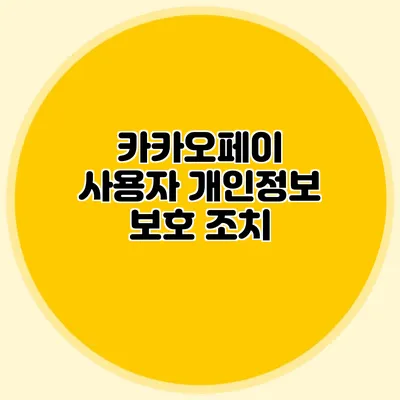 카카오페이 사용자 개인정보 보호 조치