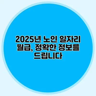2025년 노인 일자리 월급, 정확한 정보를 드립니다