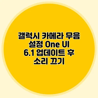 갤럭시 카메라 무음 설정: One UI 6.1 업데이트 후 소리 끄기