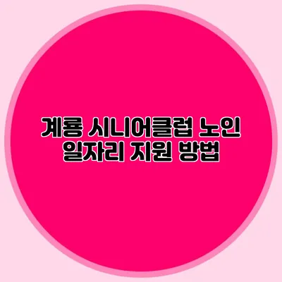 계룡 시니어클럽 노인 일자리 지원 방법