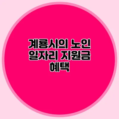 계룡시의 노인 일자리 지원금 혜택