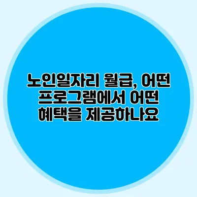 노인일자리 월급, 어떤 프로그램에서 어떤 혜택을 제공하나요?