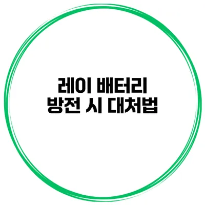 레이 배터리 방전 시 대처법