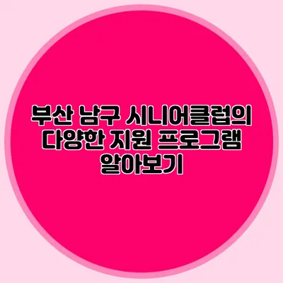 부산 남구 시니어클럽의 다양한 지원 프로그램 알아보기