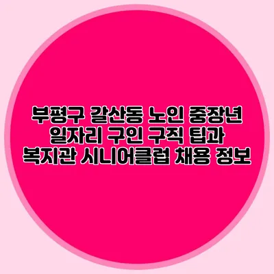 부평구 갈산동 노인 중장년 일자리 구인 구직 팁과 복지관 시니어클럽 채용 정보