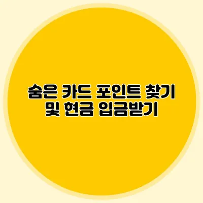 숨은 카드 포인트 찾기 및 현금 입금받기