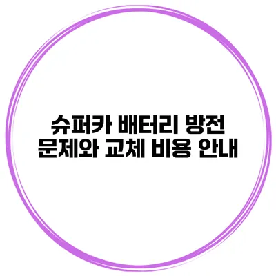 슈퍼카 배터리 방전 문제와 교체 비용 안내