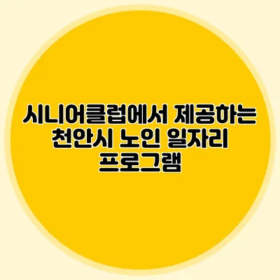 시니어클럽에서 제공하는 천안시 노인 일자리 프로그램