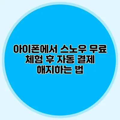 아이폰에서 스노우 무료 체험 후 자동 결제 해지하는 법
