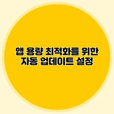 앱 용량 최적화를 위한 자동 업데이트 설정