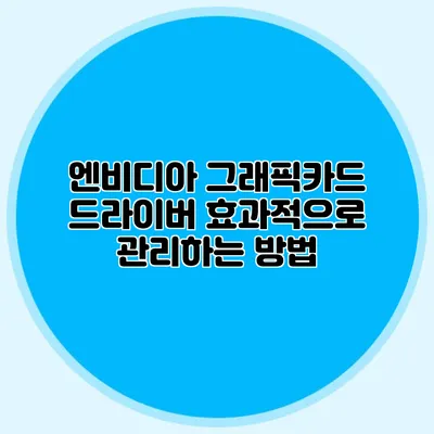 엔비디아 그래픽카드 드라이버 효과적으로 관리하는 방법
