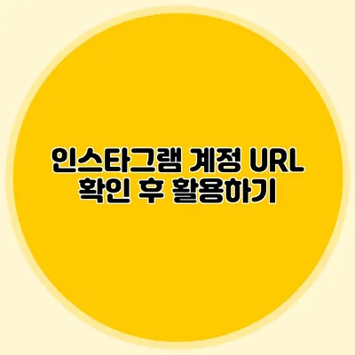 인스타그램 계정 URL 확인 후 활용하기
