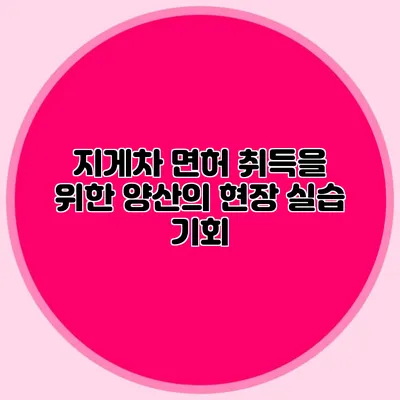 지게차 면허 취득을 위한 양산의 현장 실습 기회