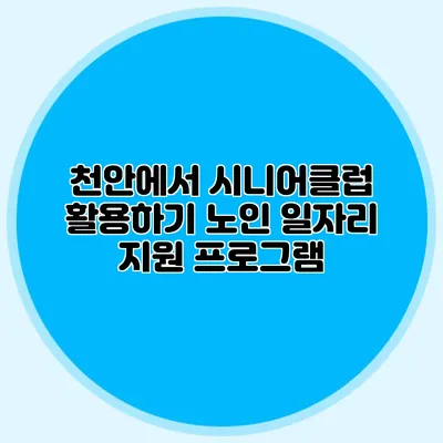 천안에서 시니어클럽 활용하기 노인 일자리 지원 프로그램