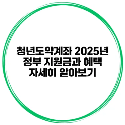 청년도약계좌 2025년 정부 지원금과 혜택 자세히 알아보기