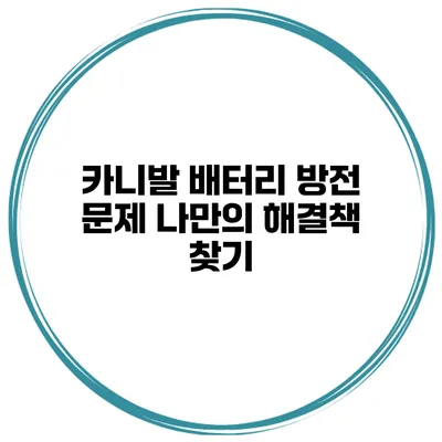 카니발 배터리 방전 문제 나만의 해결책 찾기
