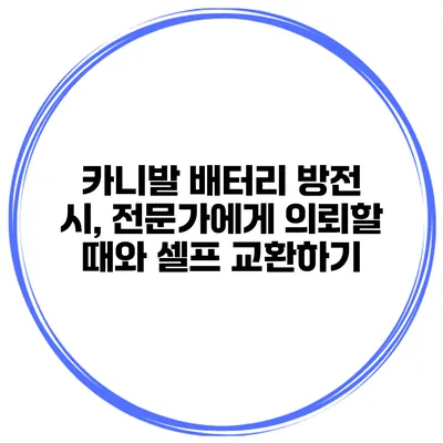 카니발 배터리 방전 시, 전문가에게 의뢰할 때와 셀프 교환하기