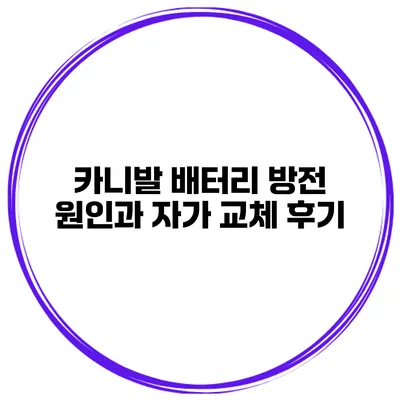 카니발 배터리 방전 원인과 자가 교체 후기