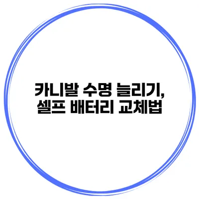 카니발 수명 늘리기, 셀프 배터리 교체법