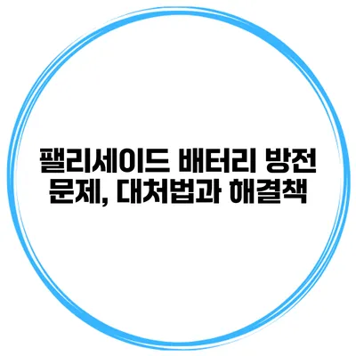 팰리세이드 배터리 방전 문제, 대처법과 해결책