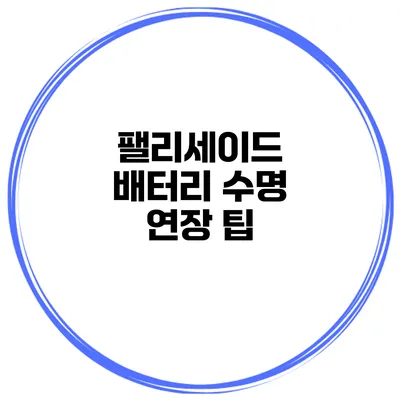 팰리세이드 배터리 수명 연장 팁